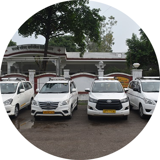 Car Rentals & Local Tours